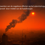 fijnstof, halotherapie, ademhalingsstelsel,